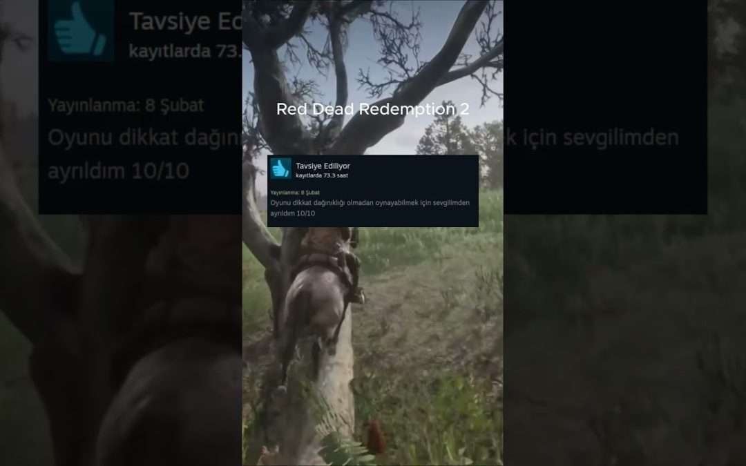 Red Dead Redemption 2 Steam Yorumları #reddeadredemption #rdr2 #reddeadredemtion2  #steam