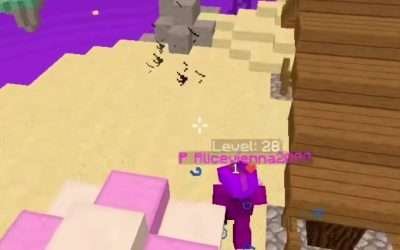 @ansxni kinda feel bad but oh well #hypixel #bedwars #texturepack #minecraft …