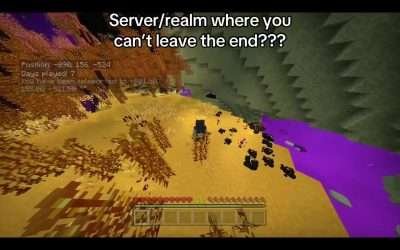 @literally.kakarot Should I make a realm? #minecraft #theend #end #endupdate #re…