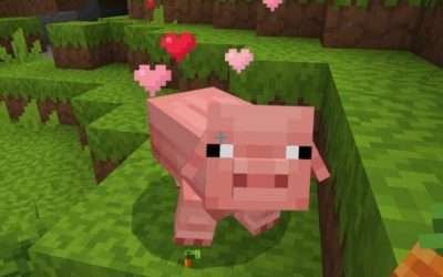 @vibewidshay I LOVE ACTIONS AND STUFF #actionsandstuff #minecraft #minecraftmod …