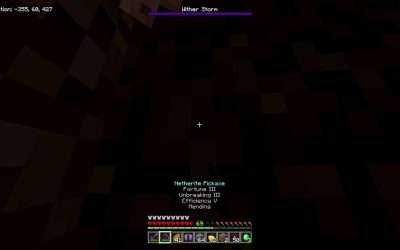 @mrwhoyouwanttobe2 Some end of realm lore went down #minecraft #minecraftmoment …