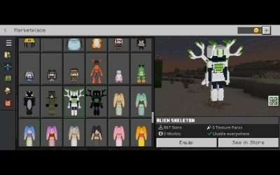 @hizply Minecraft skin 4D/5D version 1.21.71 skin:860+ #Minecraft #minecraft #mi…