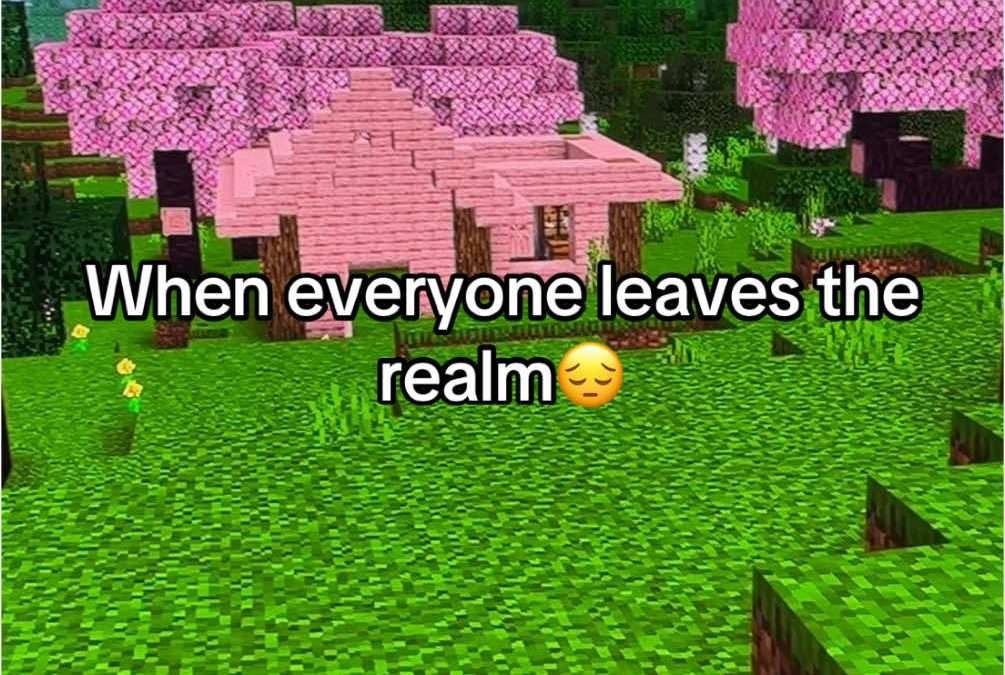 @troopacoopa22 #omgpage #fy #fyp #trending #minecraft #joinrealm #videogames #om…