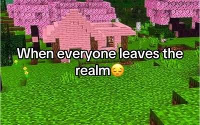 @troopacoopa22 #omgpage #fy #fyp #trending #minecraft #joinrealm #videogames #om…