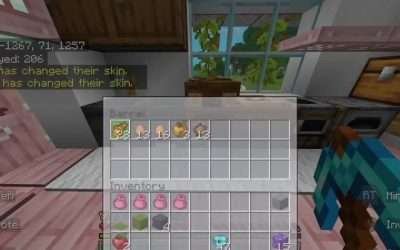 @xxmorphicxx These skins are a curse  — @[ K Y R A ] ジュノ @throko  — #minecraft #…
