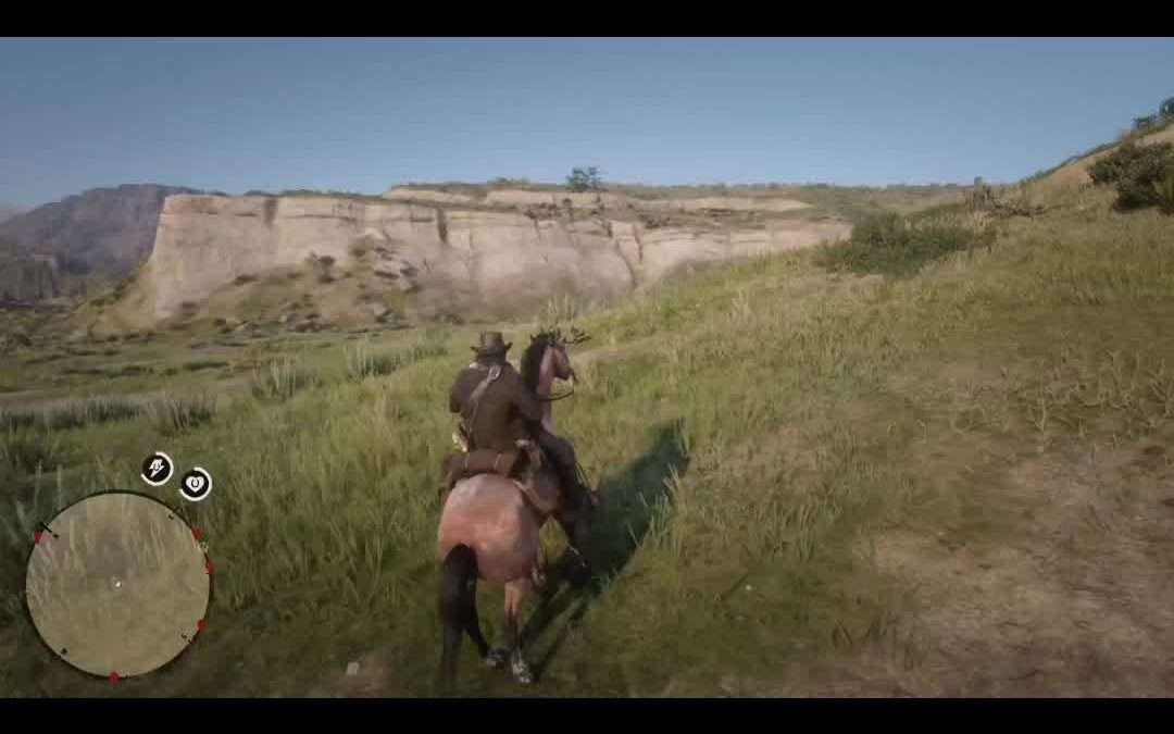 @finnflexx the tiny details really pull at your heart strings  #RDR2 #reddeadred…