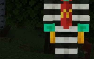 @howeverandever McDonal’s skins Minecraft  #minecraft #mcdonalds #minecraflapeli…