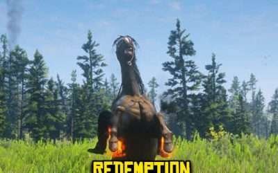 @quatorze.xiv Enhance your horse beauty and power in RDR2  #rdr2 #reddeadredempt…