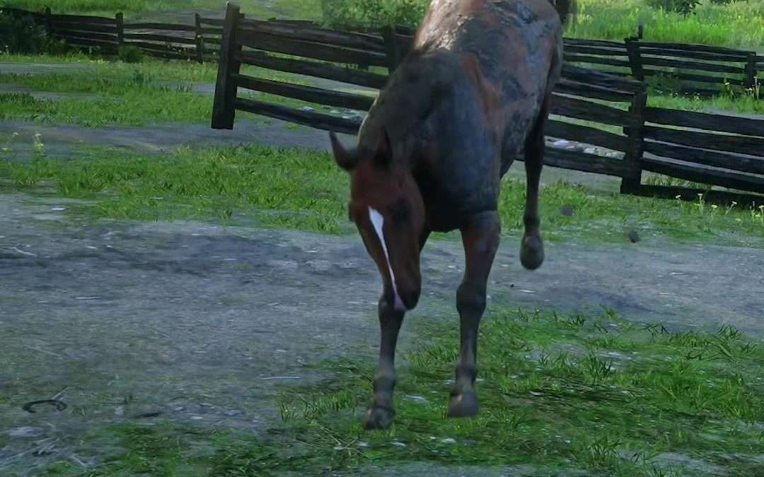 @chelsealizz Had so much fun decorating Hanging Dog Ranch one of my favorite spo…