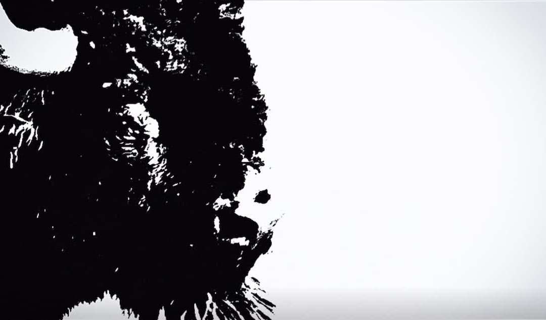 @elli.e_.editz #CHARLESSMITH Oh my shayla #rdr #rdr #rdr2 #reddeadredemption #re…