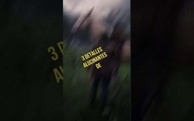 3 DETALLES ALUCINANTES DE RED DEAD REDEMPTION 2 (Parte 2) #rdr2 #gamingshorts