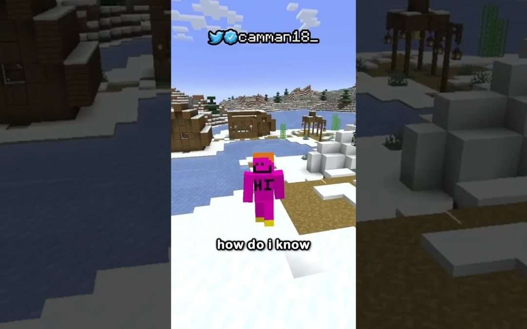 The Rarest House In Minecraft