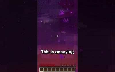 Nether Portals are Finally Fixed in Minecraft