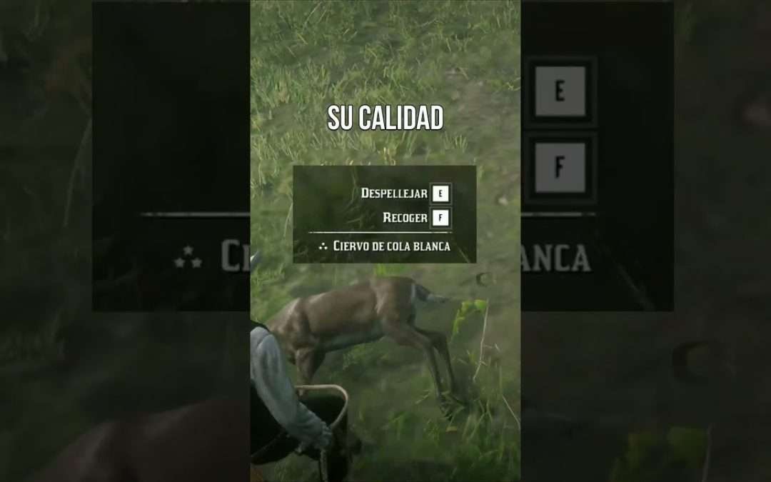 Esto NO tiene sentido en Red Dead Redemption 2