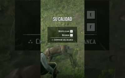 Esto NO tiene sentido en Red Dead Redemption 2
