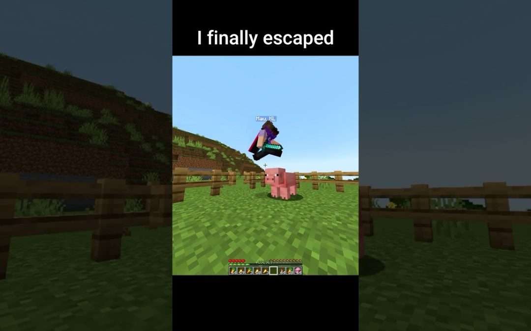 Minecraft meme