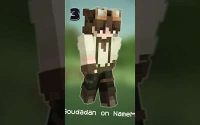 Which Minecraft Skin are you Choosing?