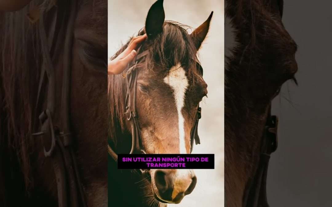 Red Dead Redemption 2 #gamers #reels #playstation #pc #xbox #trending #reddeadredemption  #viral