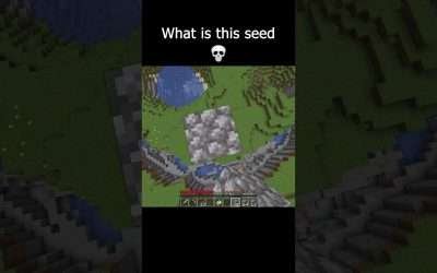 The Smiling Map Seed: 2031673994101941994 #minecraft #memes #shorts