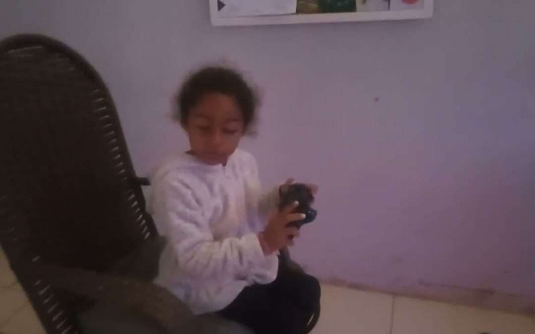 Red dead redemption 2 PC steam original