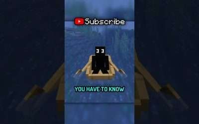 The BEST way to find a Village in Minecraft