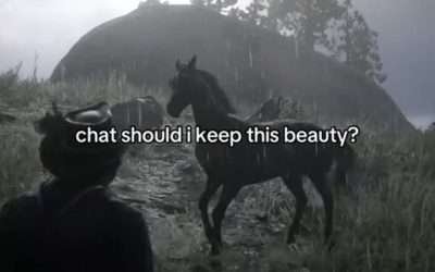 @jagdawgg she’s like a bmw: small fast and feisty #rdr2 #reddeadredemption2 #red…