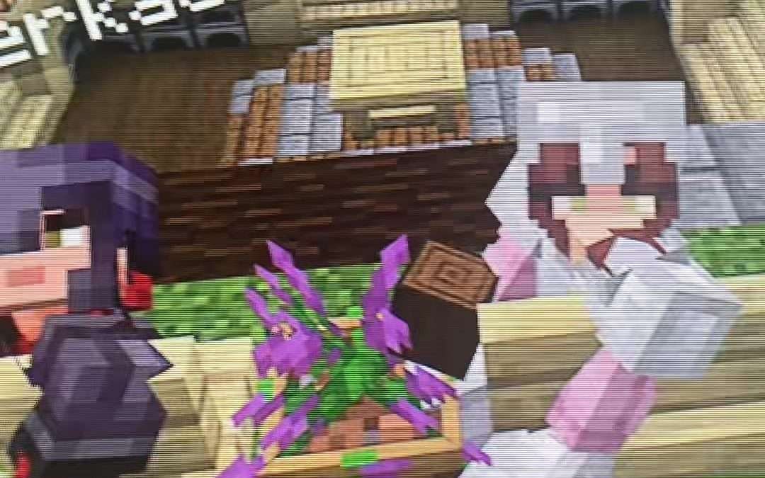 @minecraft.realm916 COME JOIN OUR REALM!! – DISCORD IN BIO  – – – – #minecraft #…