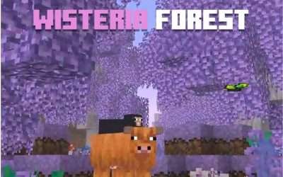 @blockfactorymc New Minecraft biomes?!  Add-On name: Biomes Add-On  #fyp #minecr…