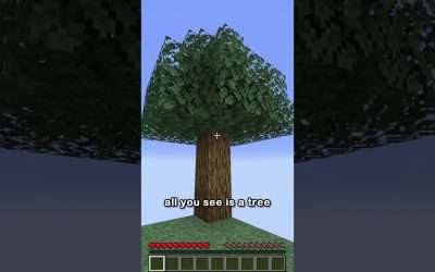 skyblock in 44 seconds