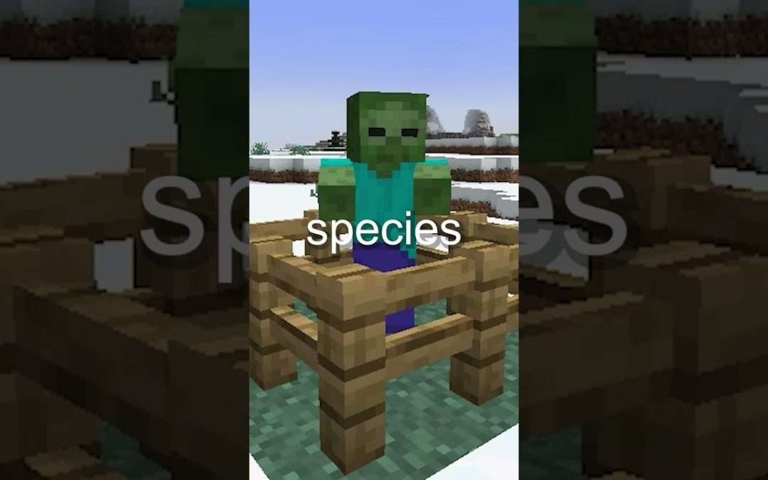 Can Minecraft Zombie's Be Cured?
