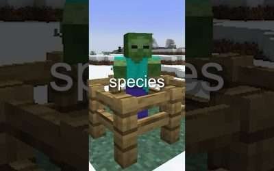 Can Minecraft Zombie's Be Cured?