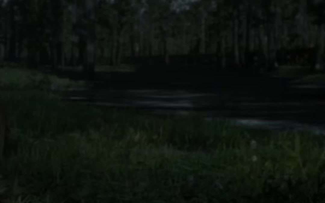 @thesaysaytt How to get infinite ammo in RDR2 #rdr2 #reddeadredemption2 #gaming …