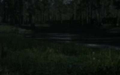 @thesaysaytt How to get infinite ammo in RDR2 #rdr2 #reddeadredemption2 #gaming …