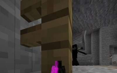 @daquavis_mc Minecraft hide and seek #minecraft #minecraftmemes #minecrafter  …