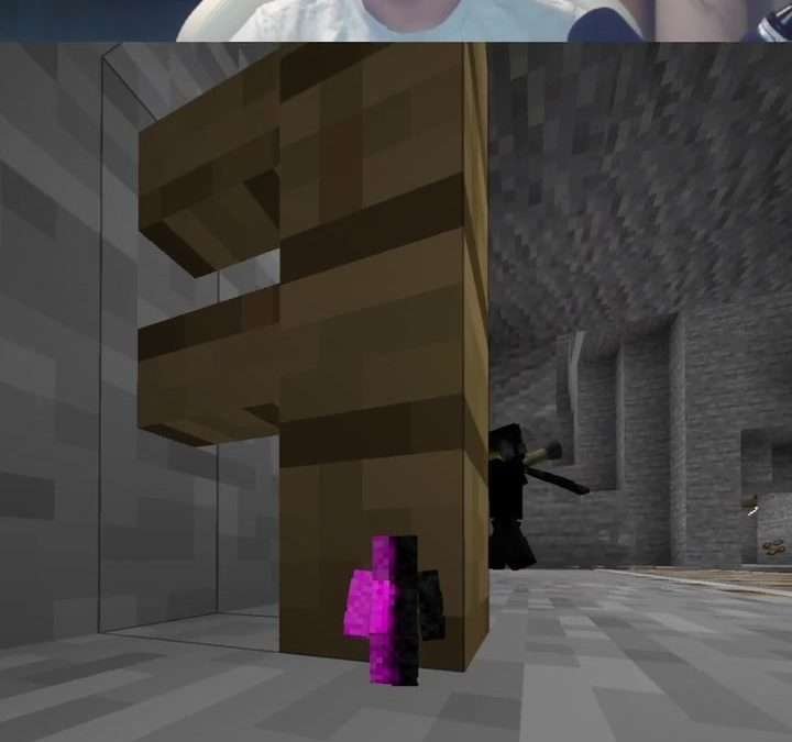 @daquavis_mc Minecraft hide and seek #minecraft #minecraftmemes #minecrafter  …