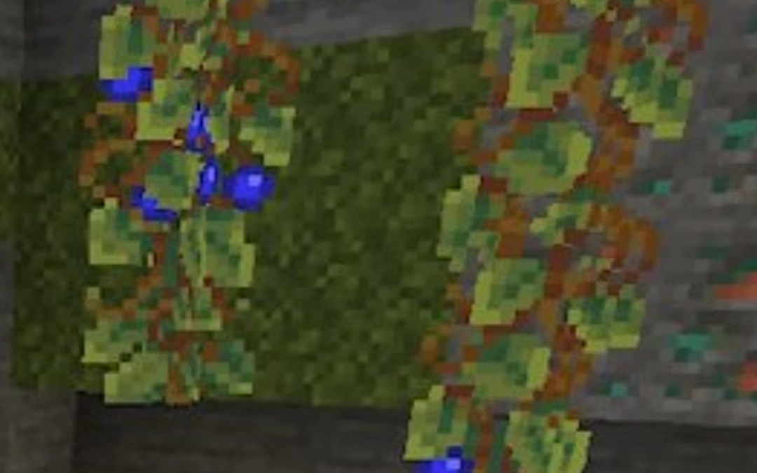 @camman.18 BLUEBERRIES IN MINECRAFT!?!?!?!??! …