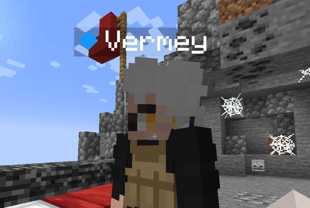 @saroney_ POV: You Are Playing Bed Wars In Minecraft ( FT: @Vermey ) #Minecraft …