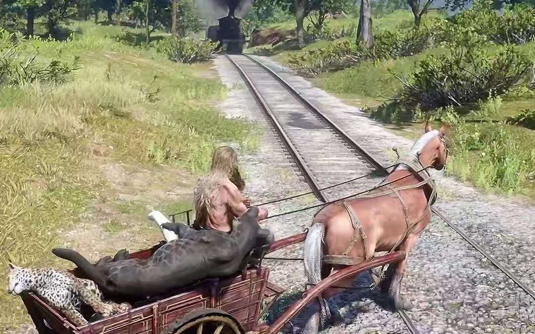 @gamedemics0001 Red Dead Redemption 2 PS4 Survival Challenge DIY…(107) #red #d…