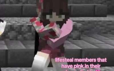 @annie.sorbet not many here #lifesteal #lifestealsmp  …
