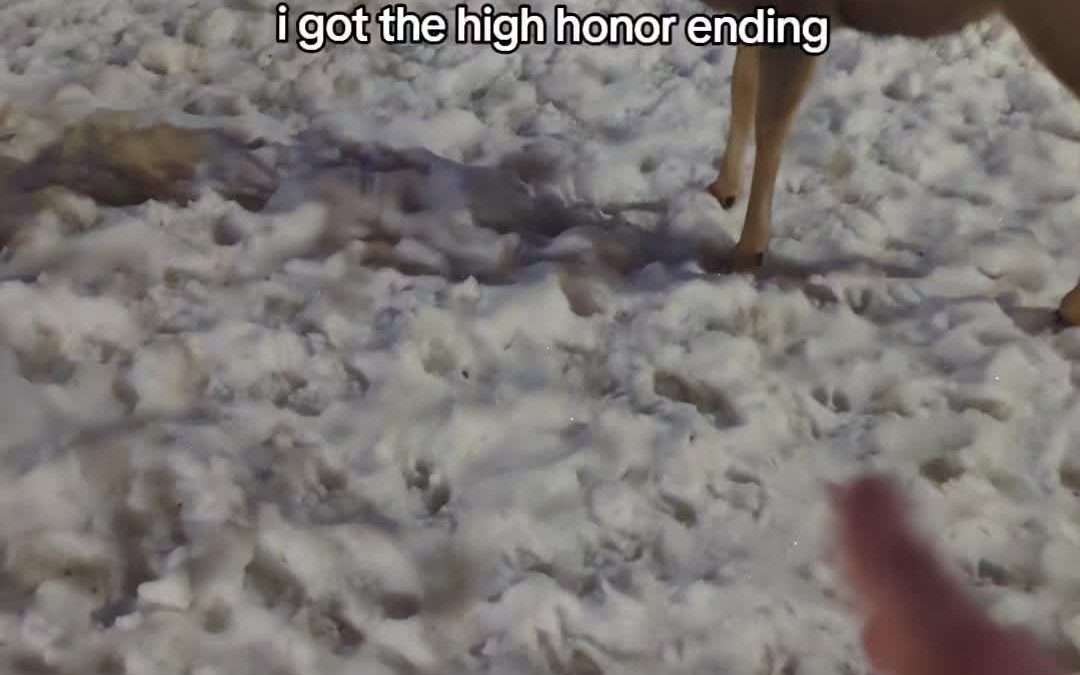 @toxic_kx250f #fypシ゚ #foryou #rdr2 #reddeadredemption2 #arthurmorgan #nature  …