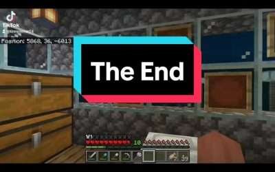 @tinnyoscar24 The Realm was shutting down. #fyp #mimecraft #minecrafedit #pcgami…
