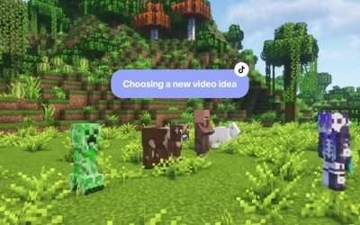 @deadlyboop It’s an every day thing… #fyp #minecraft #minecraftmemes #minecraftf…