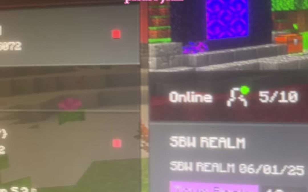 @sbwrealm6 please join my minecraft bedrock realm the code is in my bio #minecra…
