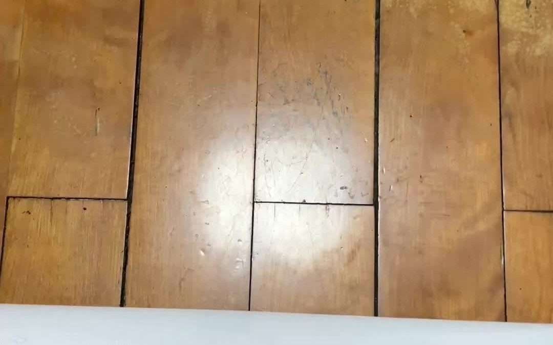 @shoesupport_jax RDR 2 Map  #reddeadredemtion2 #rdr2 #map #arthurmorgan  …