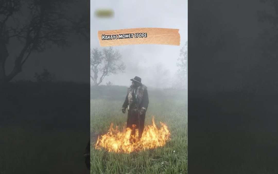 🥵 Проверяем Мифы в Red Dead Redemption 2 #shorts