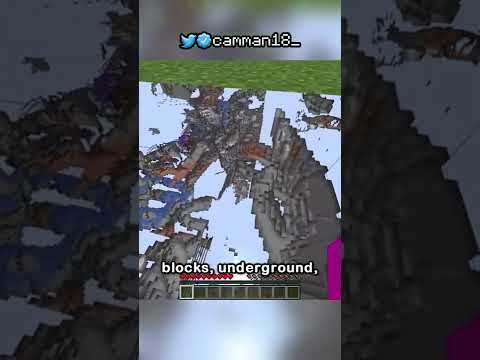 xray glitch in survival 1.19