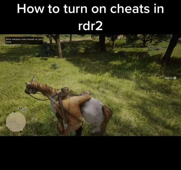 @gaming_clips_always #reddeadredemption2 #cheats …