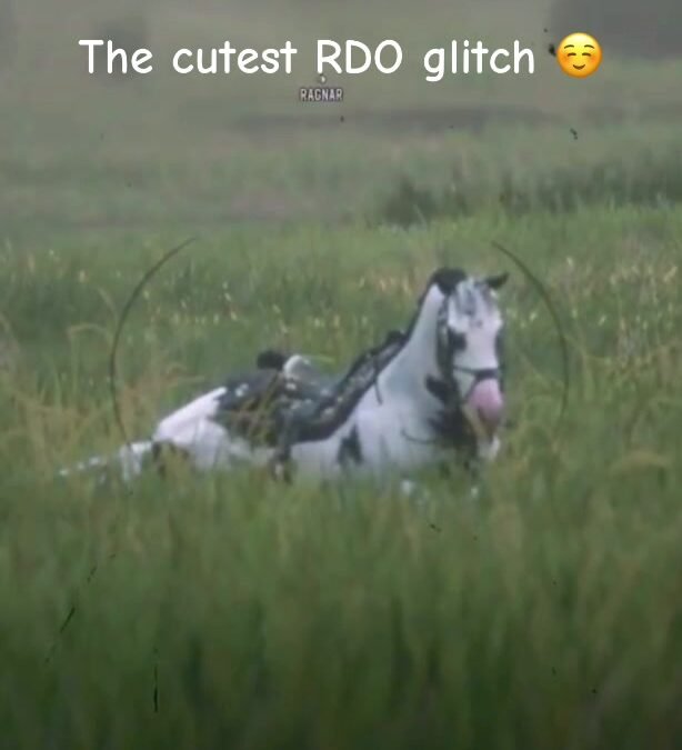 @rdo.fawnz He’s such a cutie  #rdo #rdr2 #rdr2online #reddeadredemption2 #rdr2on…