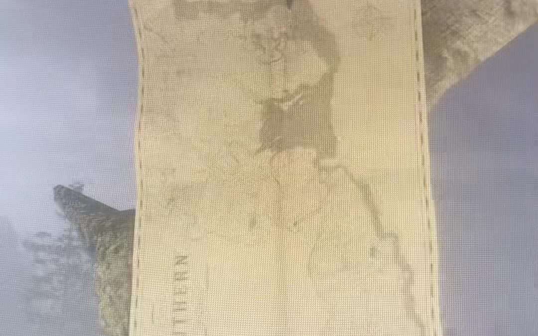 @marthurmorgan #didyouknow #rdo #rdocommunity #mustsee #lakeisabella #reddeadonl…