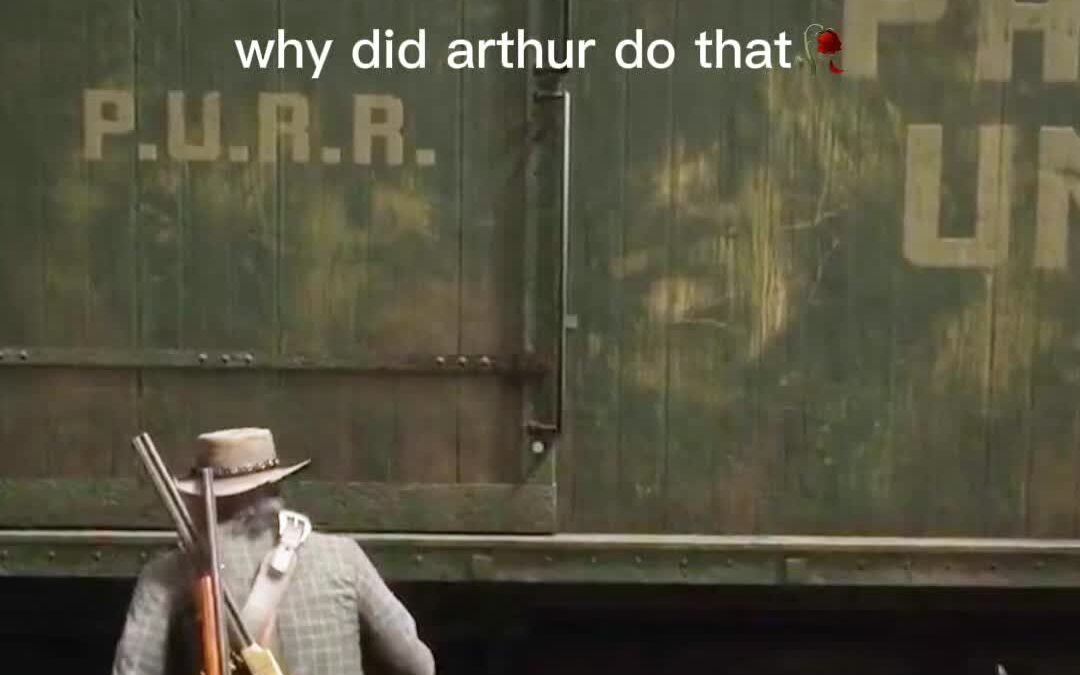 @s1nicki #rdr2 #reddeadredemption2 #reddeadredemption  …